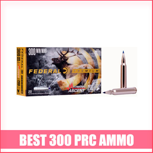 Best 300 PRC Ammo