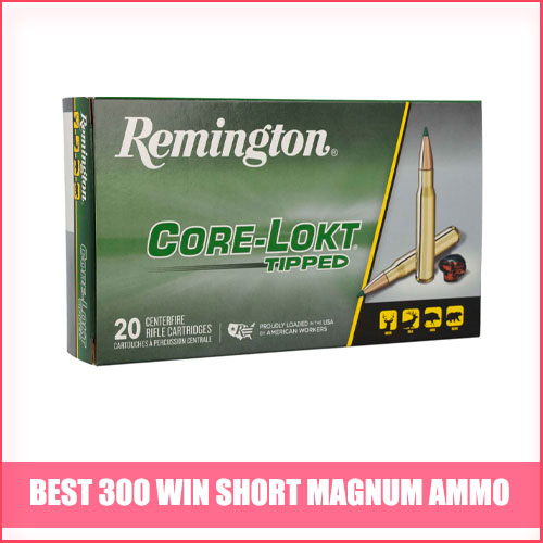 Best 300 Win Short Magnum Ammo
