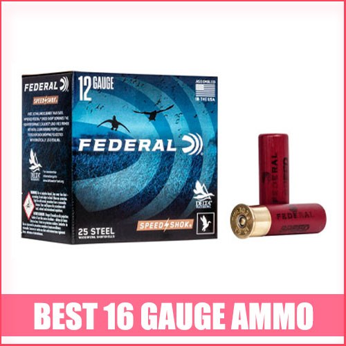 Best 16 Gauge Ammo