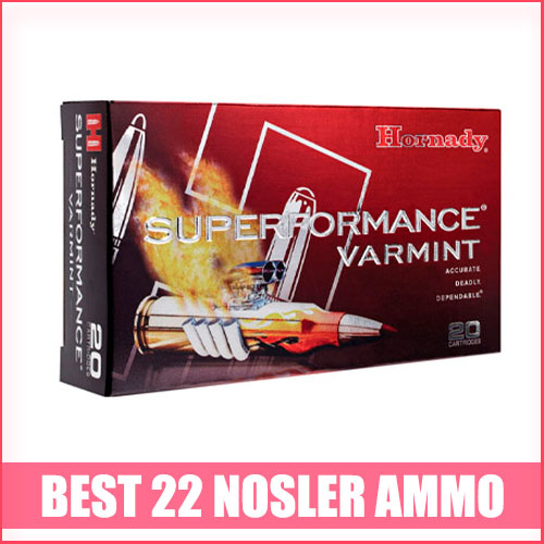 Read more about the article Best 22 Nosler Ammo