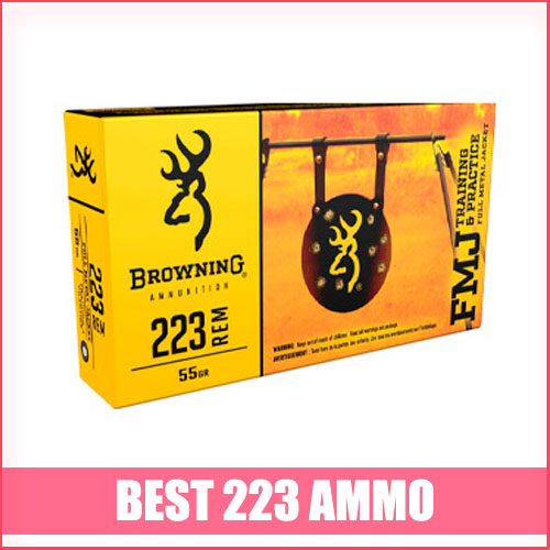 Read more about the article Best 223 Ammo