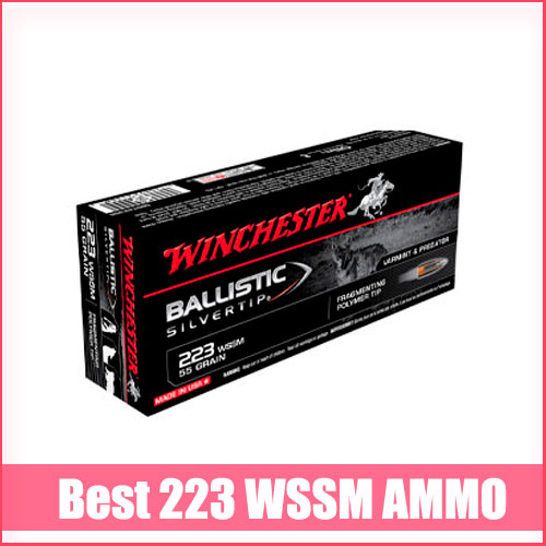 Best 223 WSSM Ammo