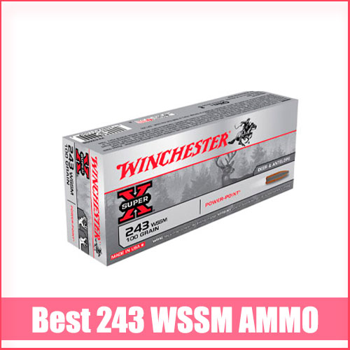 Best 243 WSSM Ammo