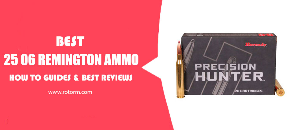 Best 25 06 Remington Ammo