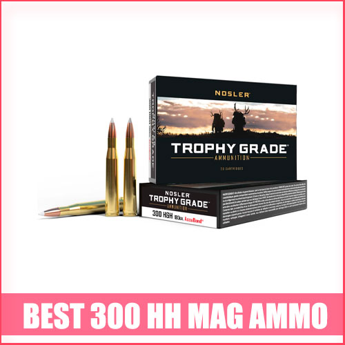 Read more about the article Best 300 HH Mag Ammo