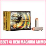 Best 41 Rem Magnum Ammo 