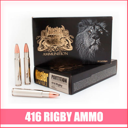 Best 416 Rigby Ammo
