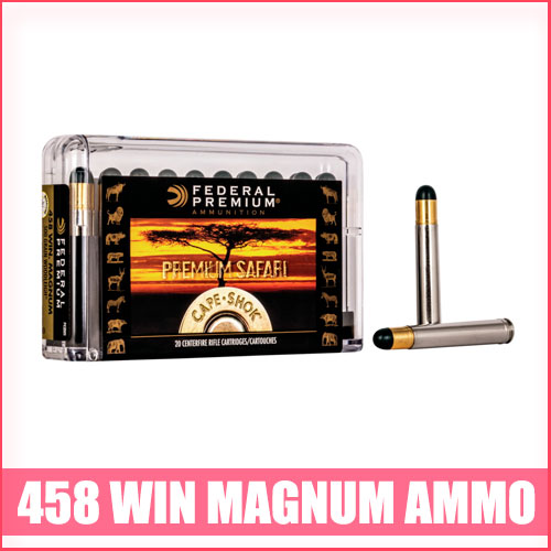 Read more about the article Best 458 Winchester Magnum Ammo