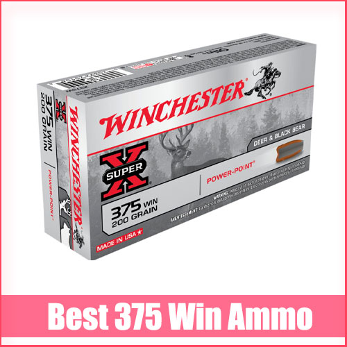 Read more about the article Best 375 Win Ammo