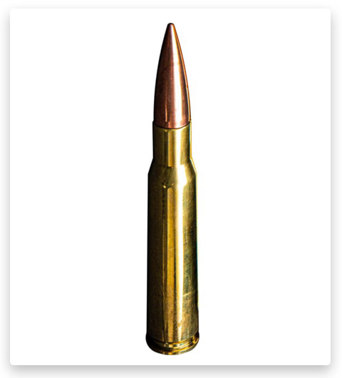 Solid Ultimate Ammunition - 50 BMG - 720 Grain - 10 Rounds