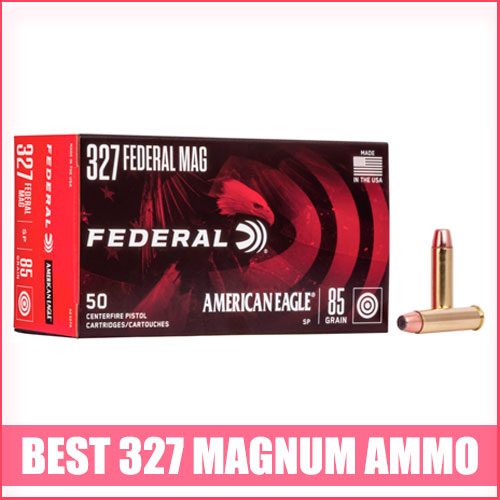 Read more about the article Best 327 Magnum Ammo