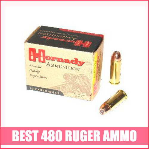 Read more about the article Best 480 Ruger Ammo
