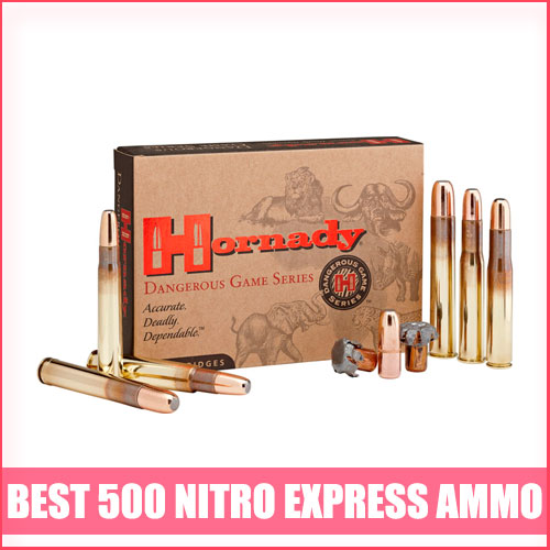 Best 500 Nitro Express Ammo