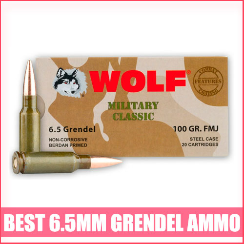 Read more about the article Best 6.5mm Grendel Ammo