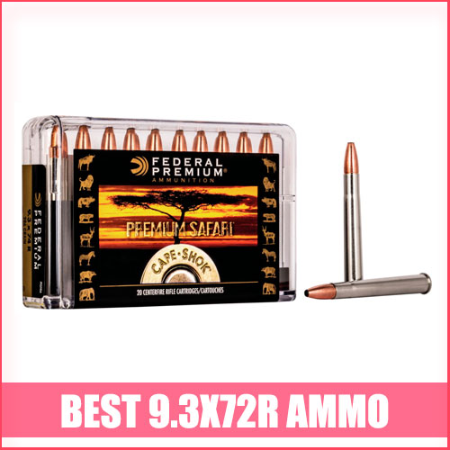 Read more about the article Best 9.3x72R Ammo