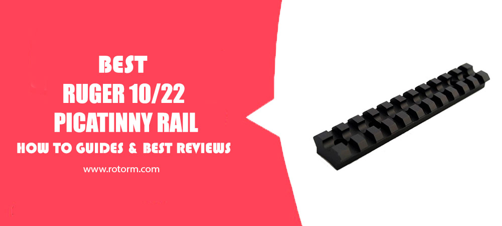 Best Ruger 10/22 Gun Picatinny Rail Review