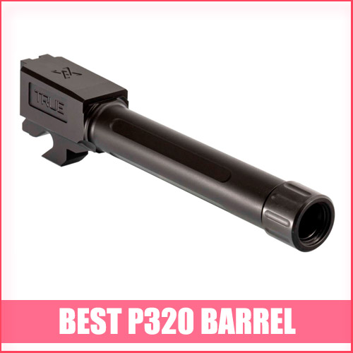 Read more about the article Best P320 Barrel