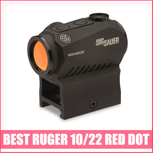 Best Ruger 10/22 Red Dot