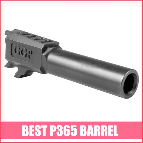 Read more about the article Best P365 Barrel