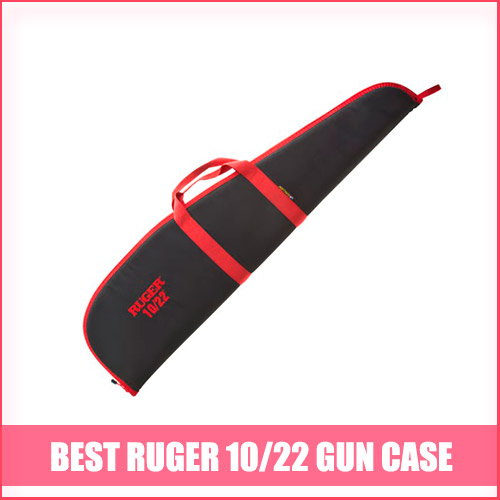 Read more about the article Best Ruger 10/22 Gun Case
