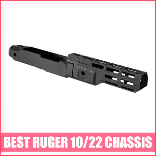 Read more about the article Best Ruger 10/22 Chassis