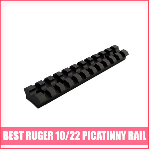 Best Ruger 10/22 Picatinny Rail