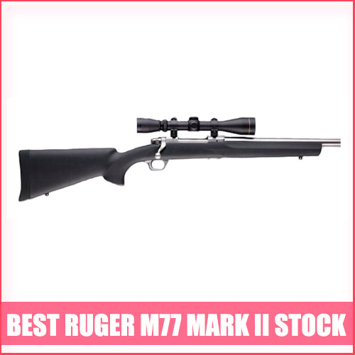 Read more about the article Best Ruger M77 Mark II Stock