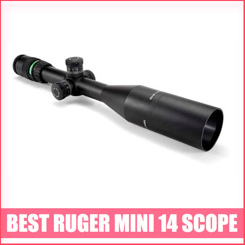 Read more about the article Best Ruger Mini 14 Scope