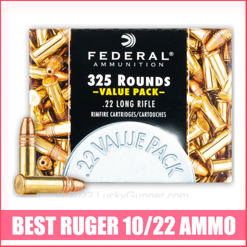 Read more about the article Best Ruger 10/22 Ammo