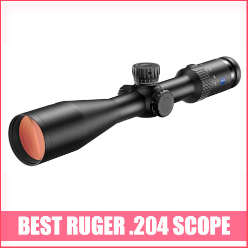 Read more about the article Best Ruger .204 Scope