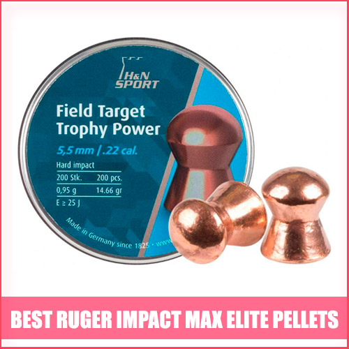 Read more about the article Best Ruger Impact Max Elite Pellets